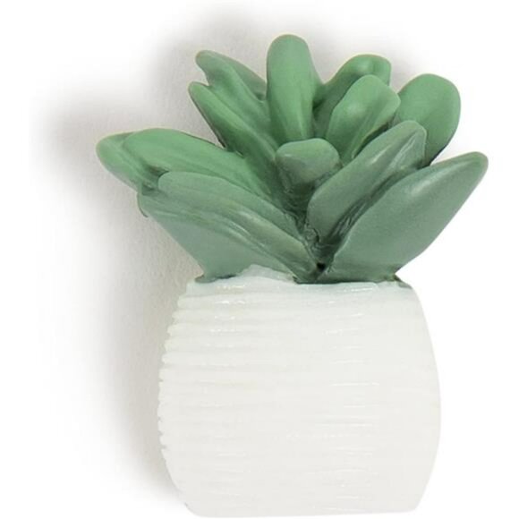 Succulent push pins bulletin board decorative thumb tacks office supplies set - Picture 5 of 7